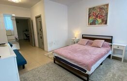 Garsoniera, 37 mp, zona Ultracentral - Catedrala Sf. Dumitru 