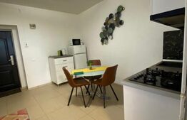 Garsoniera, 37 mp, zona Ultracentral - Catedrala Sf. Dumitru 