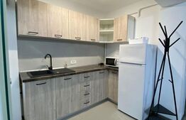 Apartament 2 camere, 46 mp, zona 1 Mai - Facultatea de Medicina