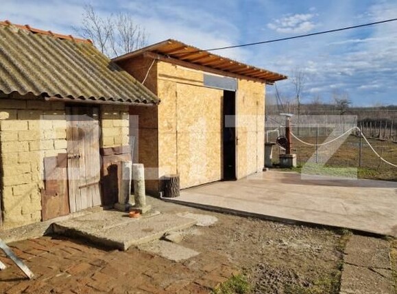 Casa de vânzare 2 camere Exterior Est - 188505CV | BLITZ Craiova | Poza18