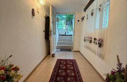 Proprietate 140 mp, 800 mp teren, zona Centru