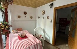 Proprietate 140 mp, 800 mp teren, zona Centru