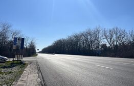 Teren intravilan 12.500 mp, zona Profi Logistic Isalnita