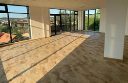 Spatiu comercial P+3, 385 mp suprafata utila, Rovine