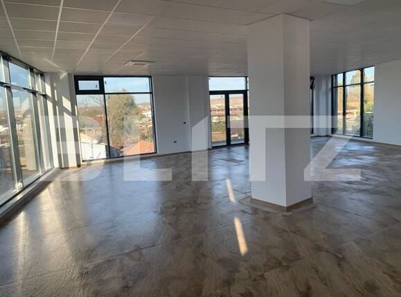 Spațiu comercial de închiriat Rovine - 188660SIC | BLITZ Craiova | Poza2