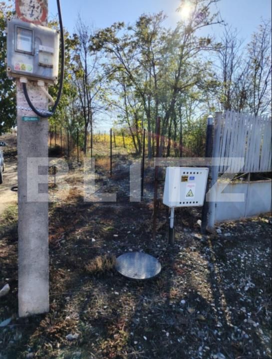 Teren de vânzare Cosoveni - 188671TV | BLITZ Craiova | Poza2