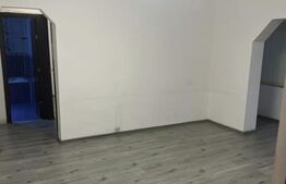 Spatiu comercial, 56 mp, parter, stradal, zona Craiovita-Elena Farago