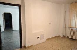 Spatiu comercial, 56 mp, parter, stradal, zona Craiovita-Elena Farago