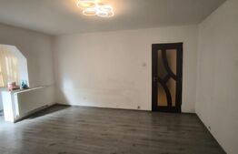 Spatiu comercial, 56 mp, parter, stradal, zona Craiovita-Elena Farago