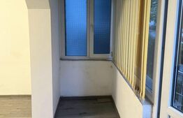 Spatiu comercial, 56 mp, parter, stradal, zona Craiovita-Elena Farago