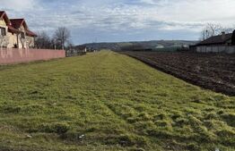 Teren intravilan, 1500 mp, zona Albesti