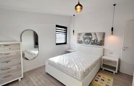 Apartament 2 camere, modern/lux , zona Calea Severinului