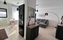 Apartament 2 camere, modern/lux , zona Calea Severinului