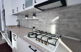 Apartament 2 camere, modern/lux , zona Calea Severinului