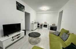 Apartament 2 camere, 74 mp, zona Calea Severinului - Promenada Mall