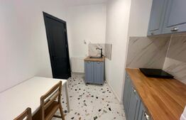 Garsonieră ultracentrala, 30 mp, zona Centru-Universitate