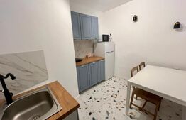 Garsonieră ultracentrala, 30 mp, zona Centru-Universitate