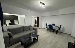 Apartament de inchiriat, 54 mp, zona Rovine 