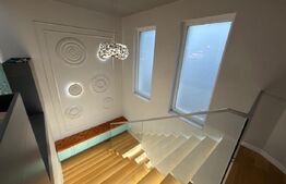 Proprietate Versatilă P+1, Rezidențial Modern si Spații Comerciale, Filiasi