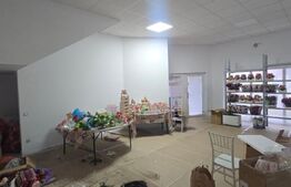 Proprietate Versatilă P+1, Rezidențial Modern si Spații Comerciale, Filiasi