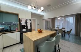 Proprietate Versatilă P+1, Rezidențial Modern si Spații Comerciale, Filiasi