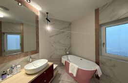 Proprietate Versatilă P+1, Rezidențial Modern si Spații Comerciale, Filiasi