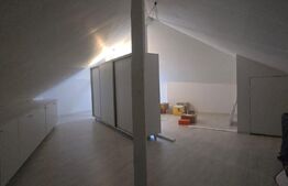 Proprietate Versatilă P+1, Rezidențial Modern si Spații Comerciale, Filiasi