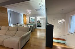 Proprietate Versatilă P+1, Rezidențial Modern si Spații Comerciale, Filiasi