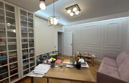 Proprietate Versatilă P+1, Rezidențial Modern si Spații Comerciale, Filiasi