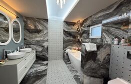 Proprietate Versatilă P+1, Rezidențial Modern si Spații Comerciale, Filiasi