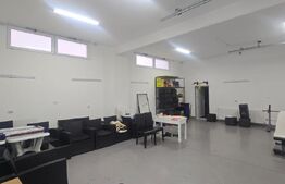 Proprietate Versatilă P+1, Rezidențial Modern si Spații Comerciale, Filiasi