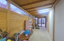 Proprietate Versatilă P+1, Rezidențial Modern si Spații Comerciale, Filiasi