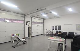 Proprietate Versatilă P+1, Rezidențial Modern si Spații Comerciale, Filiasi