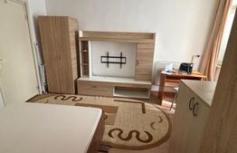 Garsoniera semidecomandata, 25 mp, zona Lapus - Podul Electro