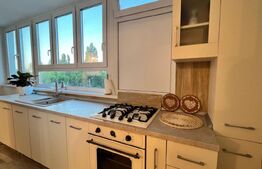 Apartament 2 camere, 57 mp, modern/lux, zona Calea Severin