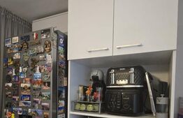 Garsoniera 25 mp, zona Lapus