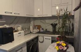 Garsoniera 25 mp, zona Lapus