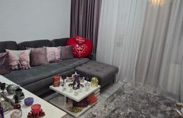 Garsoniera 25 mp, zona Lapus