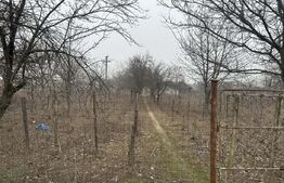 Teren intravilan, Cosoveni, 1200 mp, front 24m