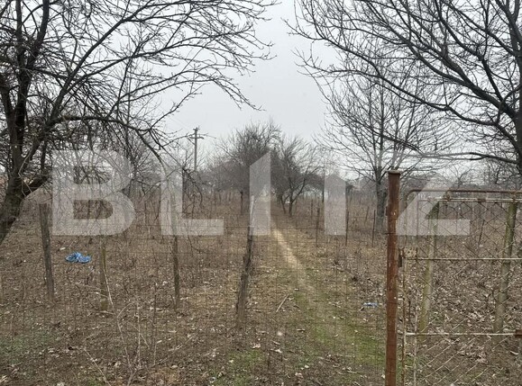 Teren de vânzare Cosoveni - 189034TV | BLITZ Craiova | Poza3