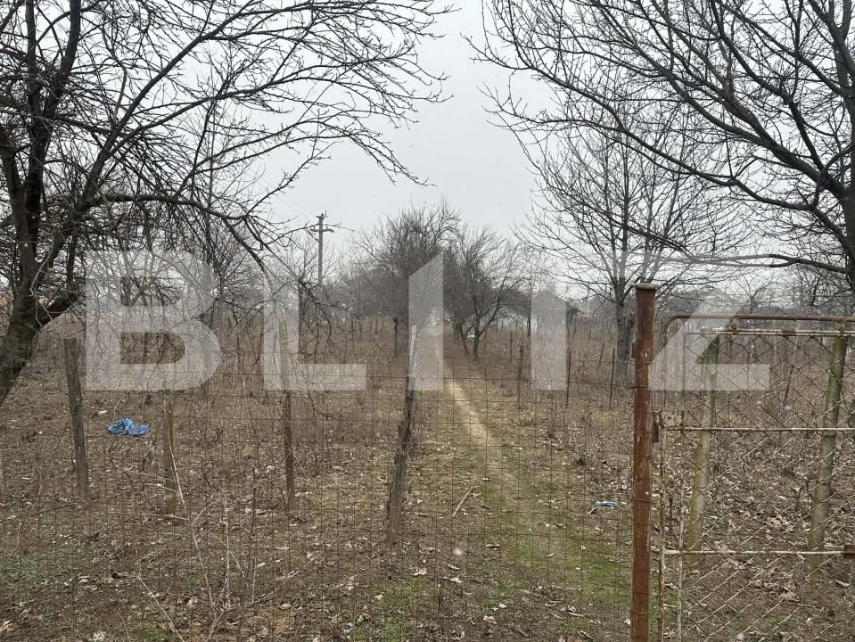 Teren de vânzare Cosoveni - 189034TV | BLITZ Craiova | Poza3