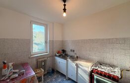Apartament 2 camere, 45.20 mp, zona Brazda lui Novac