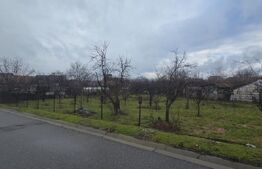 Teren intravilan 1.869 mp, front 80 metri, zona Cârcea - Stadion