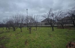 Teren intravilan 1.869 mp, front 80 metri, zona Cârcea - Stadion