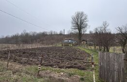 Teren 2.038 mp + Casă 50 mp de vânzare – Sat Luncsoru, Com. Ghercești