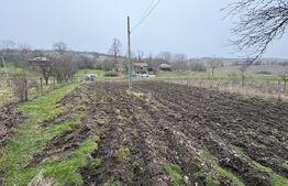 Teren 2.038 mp + Casă 50 mp de vânzare – Sat Luncsoru, Com. Ghercești