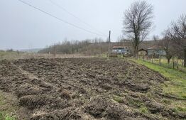 Teren 2.038 mp + Casă 50 mp de vânzare – Sat Luncsoru, Com. Ghercești