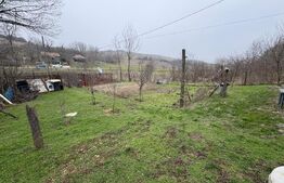 Teren 2.038 mp + Casă 50 mp de vânzare – Sat Luncsoru, Com. Ghercești
