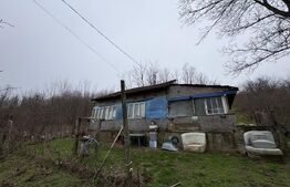 Teren 2.038 mp + Casă 50 mp de vânzare – Sat Luncsoru, Com. Ghercești