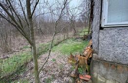 Teren 2.038 mp + Casă 50 mp de vânzare – Sat Luncsoru, Com. Ghercești